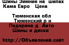 Шины Зимние на  шипах Кама Евро › Цена ­ 4 000 - Тюменская обл., Тюменский р-н, Падерина д. Авто » Шины и диски   